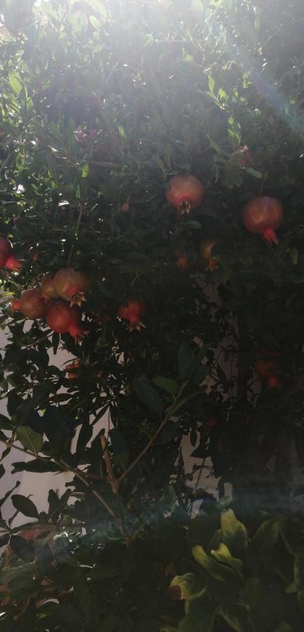 ברינדיזי Antonella Home מראה חיצוני תמונה